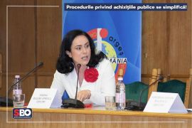 Simona Bucura Oprescu: Procedurile privind achizițiile publice se simplifică!
