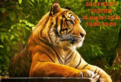 De Sfânta Maria Mare, Zoo Pitești va avea program normal de vizitare