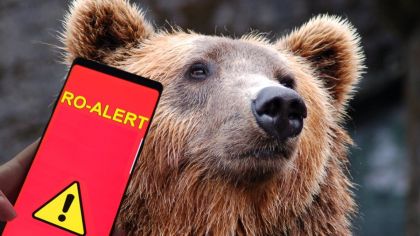 Mesaj Ro-Alert la Nucșoara! Bărbat atacat de urs...