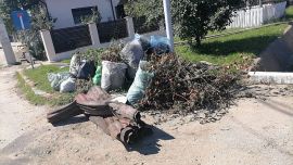 Anunț important despre ridicarea deșeurilor vegetale din Mioveni!