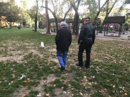 Poliția Locală, pe urmele piteștenilor care ies cu câinii prin parcuri